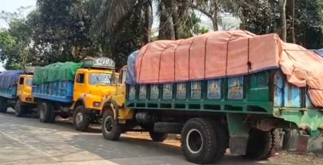 ভোলায় ৪ ট্রাক ভর্তি ৭১ টন অবৈধ সারসহ ট্রাকচালক আটক