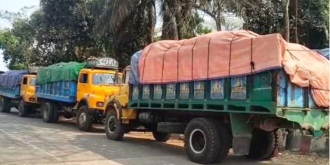 ভোলায় ৪ ট্রাক ভর্তি ৭১ টন অবৈধ সারসহ ট্রাকচালক আটক