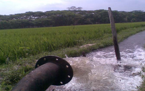 ডিজেলের কৃত্রিম সংকটে বরিশাল অঞ্চলের ৪ লাখ হেক্টরের বোরো ধান নিয়ে দুশ্চিন্তায় কৃষিযোদ্ধাগণ