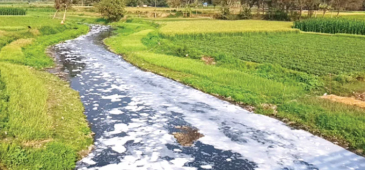 রাজশাহীর পাঁচ নদী এখন বর্জ্যবাহী নালা