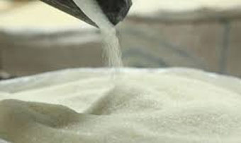 চিনিকল বন্ধে রাজশাহীতে আখ চাষ অর্ধেকে নেমেছে