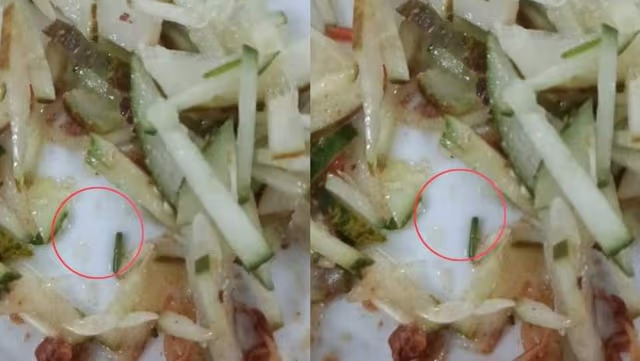 ঢাকা বিশ্ববিদ্যালয়ের হল ক্যান্টিনে খাবারে মিলল জীবিত পোকা