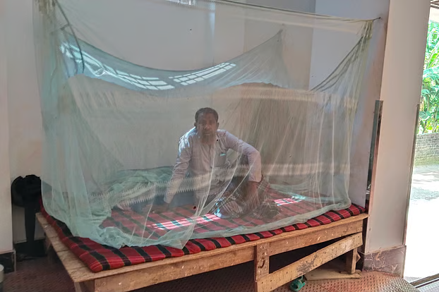 রংপুরে মশার যন্ত্রণায় অতিষ্ঠ নগরবাসী, ‘ক্রাশ প্রোগ্রামেও’ সুফল মিলছে না