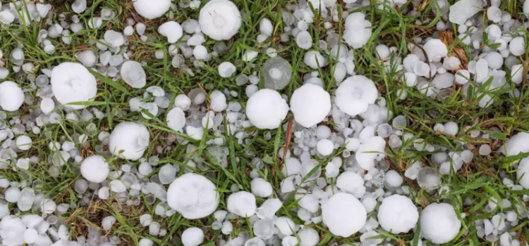 ঢাকাসহ তিন বিভাগে ঝড়বৃষ্টি, কোথাও কোথাও শিলাবৃষ্টির আভাস