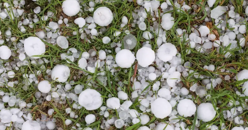 ঢাকাসহ তিন বিভাগে ঝড়বৃষ্টি, কোথাও কোথাও শিলাবৃষ্টির আভাস