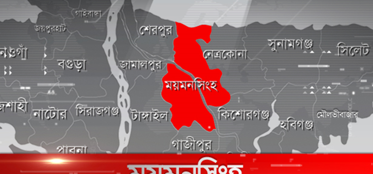 ময়মনসিংহে বজ্রপাতে দুইজনের মৃত্যু