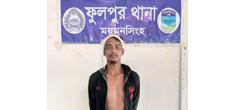 ময়মনসিংহে পারিবারিক কলহে দাদিকে হত্যা, নাতি গ্রেফতার